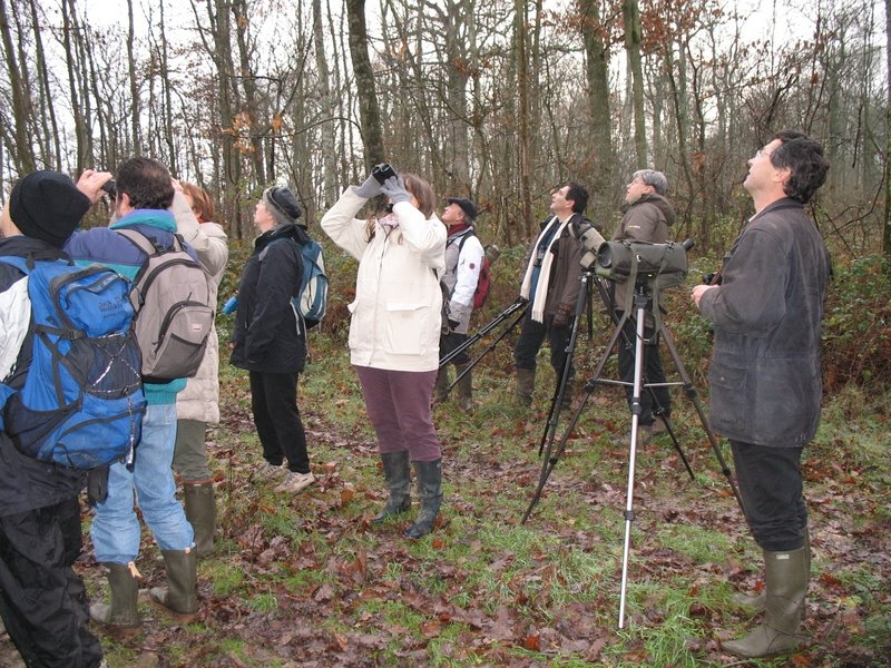 2006 12 Ornitho St Hubert 09